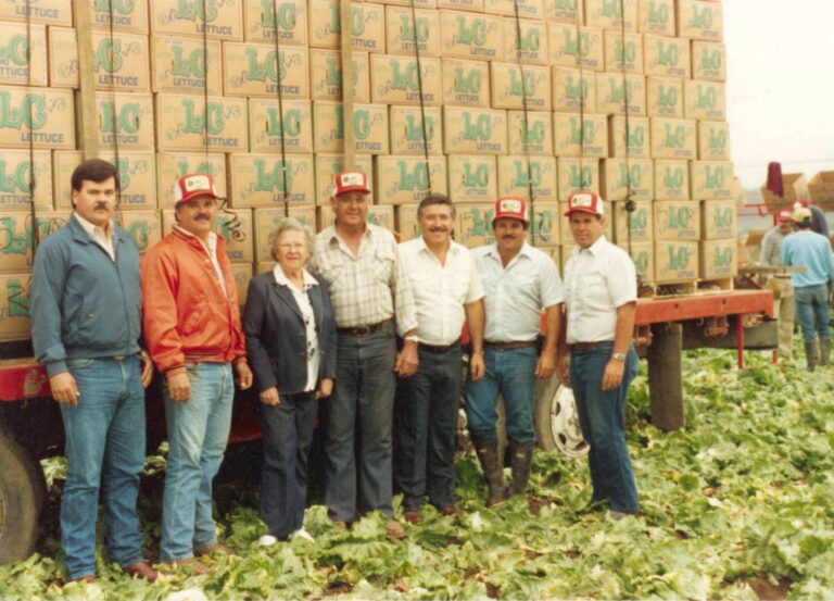 Teixeira Family and Lettuce Harvest